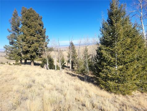 8802 Ranch Road Hartsel CO 80449