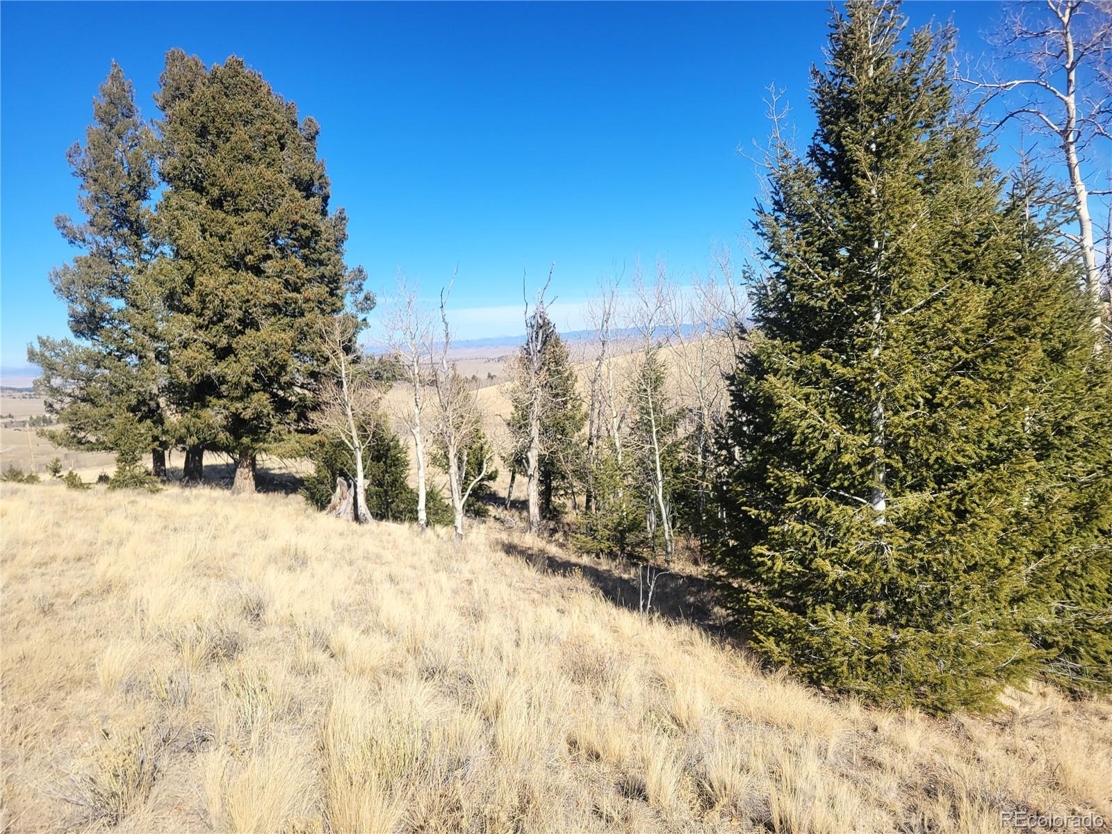 8802 Ranch Road Hartsel CO 80449