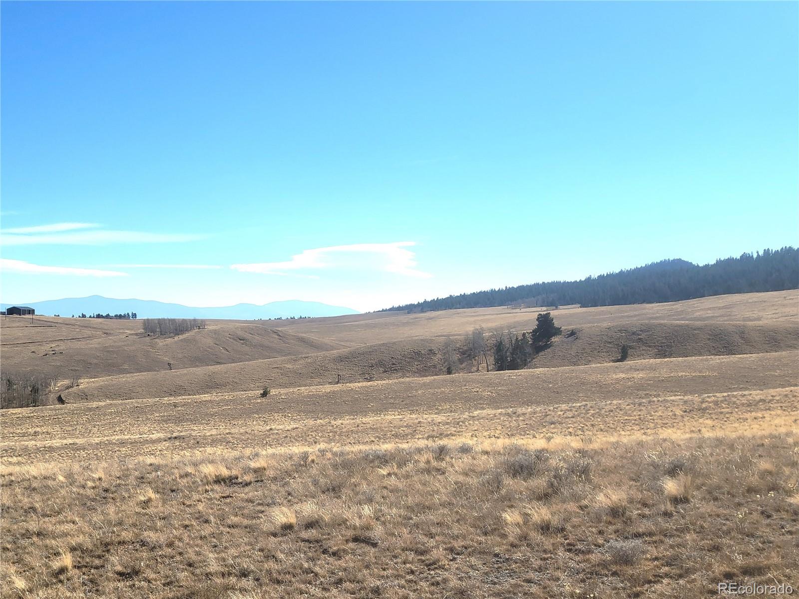 8802 Ranch Road Hartsel CO 80449