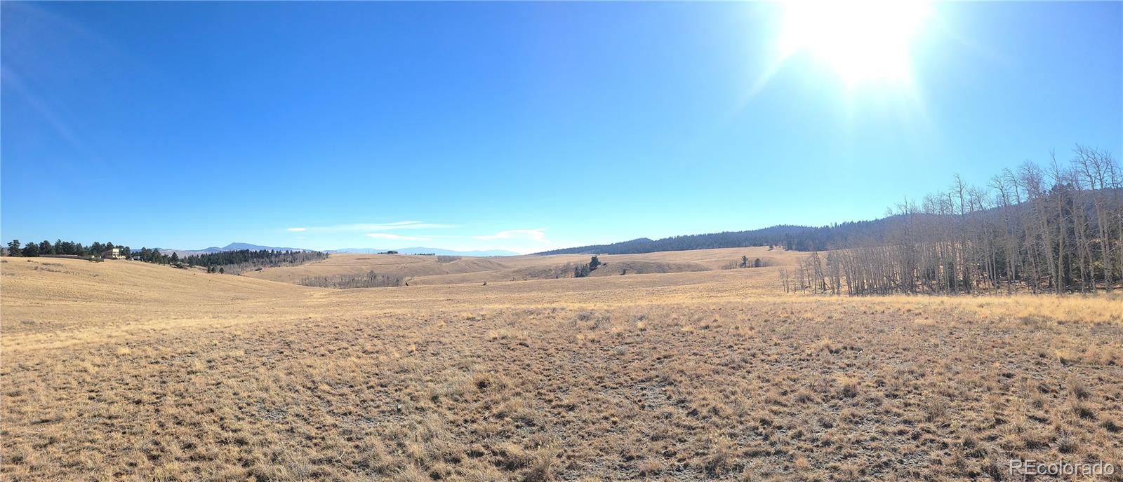 8802 Ranch Road Hartsel CO 80449