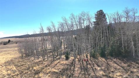 8802 Ranch Road Hartsel CO 80449