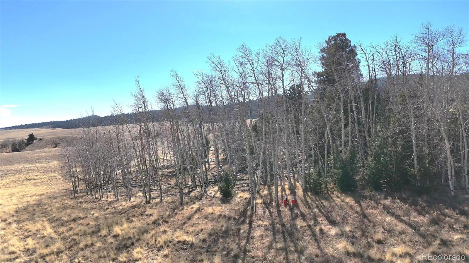 8802 Ranch Road Hartsel CO 80449