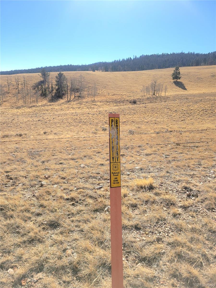 8802 Ranch Road Hartsel CO 80449