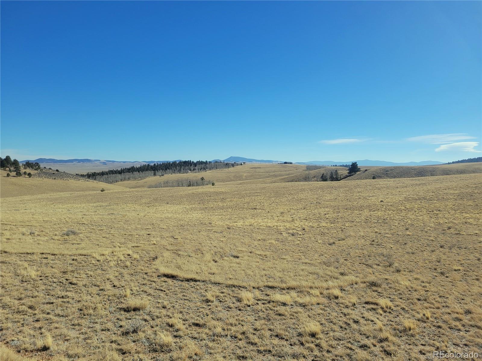 8802 Ranch Road Hartsel CO 80449