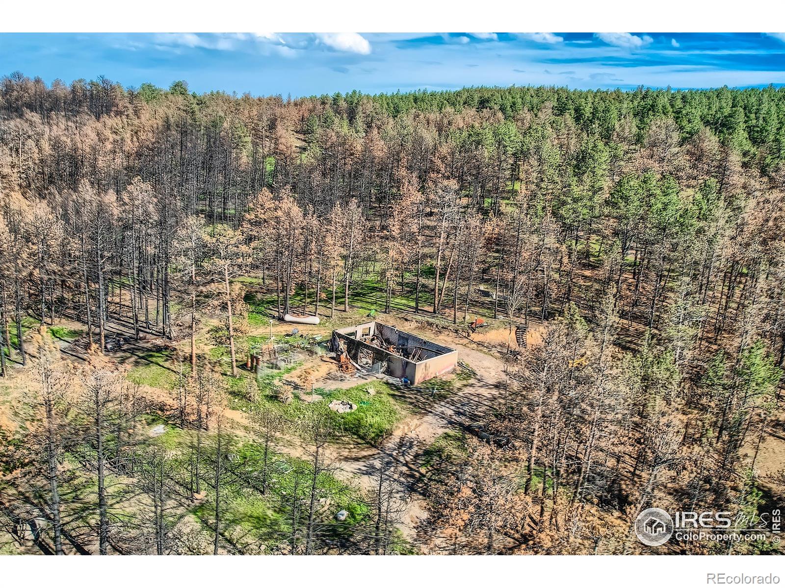 1448 Spruce Mountain Drive Drake CO 80515