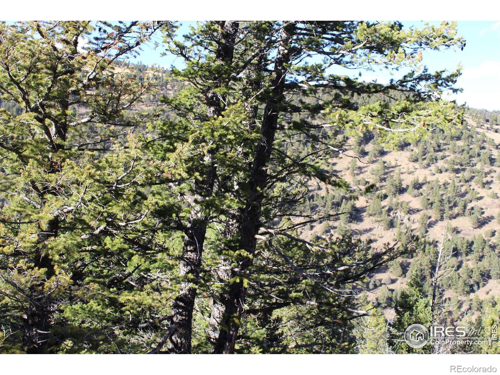 0 Pennsylvania Gulch Road Boulder CO 80302