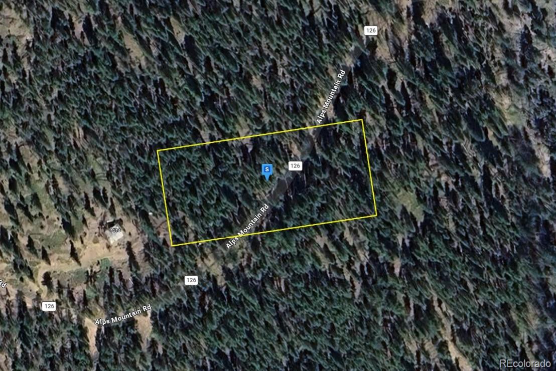 1520 Alps Mountain Road Idaho Springs CO 80452