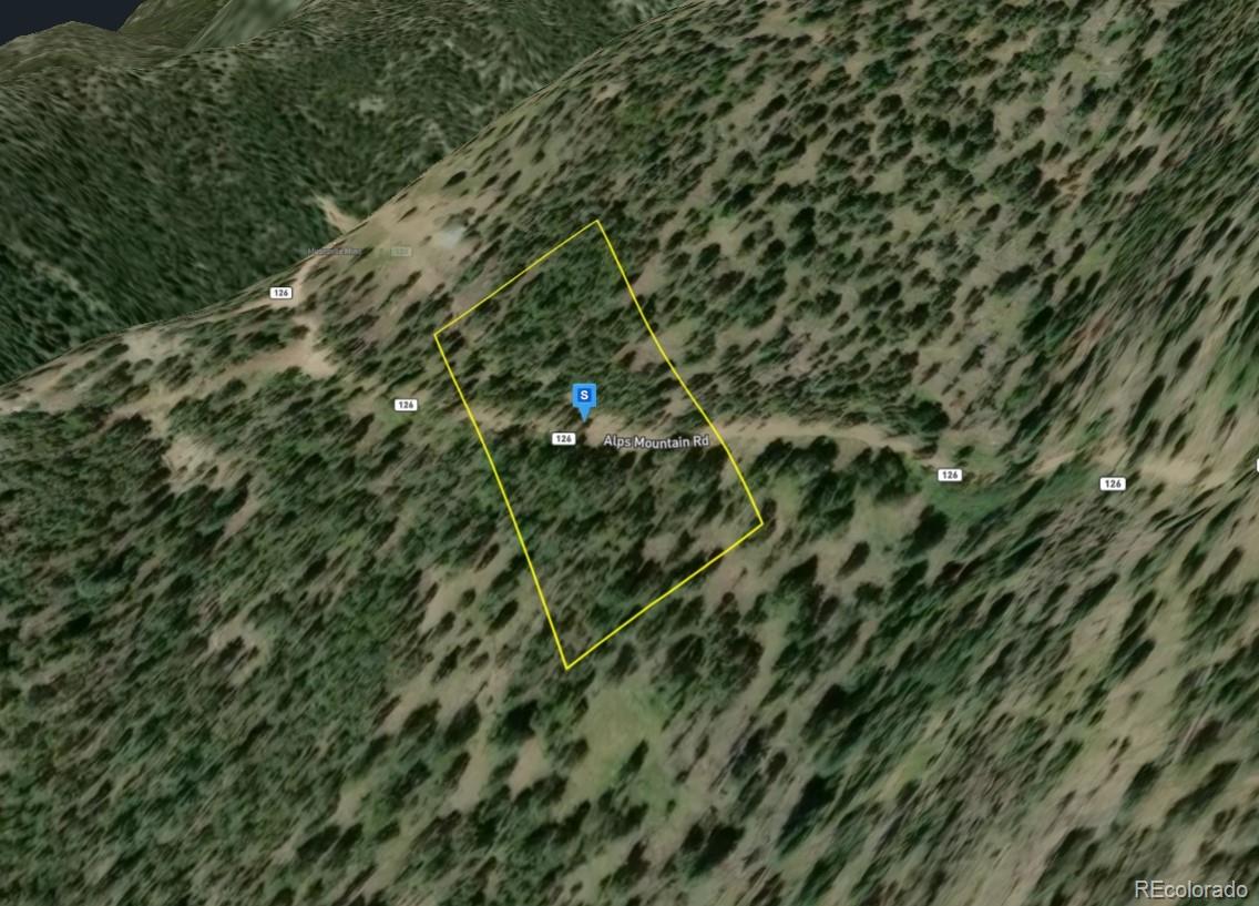1520 Alps Mountain Road Idaho Springs CO 80452