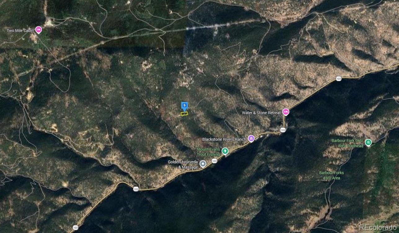 1520 Alps Mountain Road Idaho Springs CO 80452