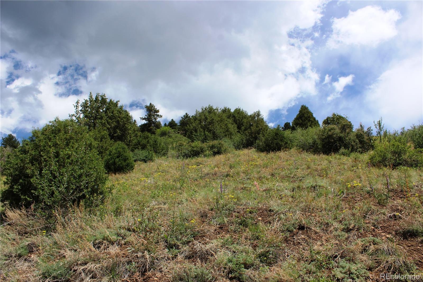200 Two Brothers Road Idaho Springs CO 80452