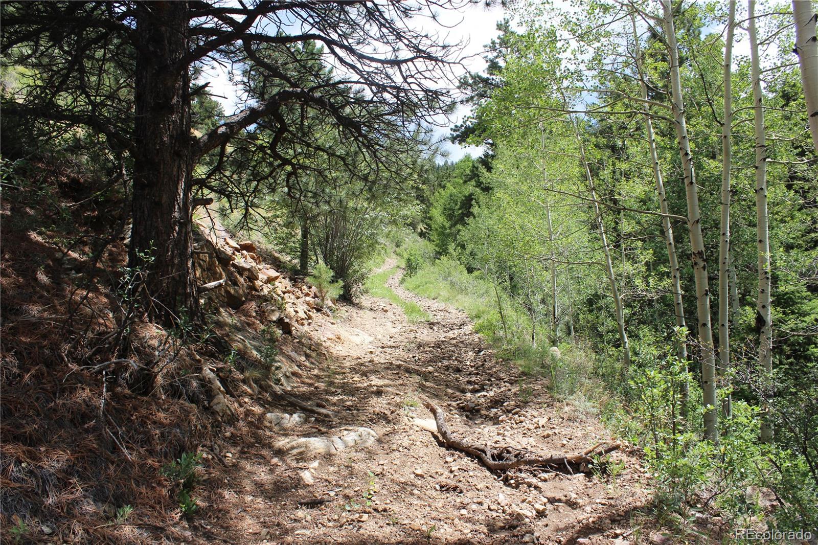 200 Two Brothers Road Idaho Springs CO 80452