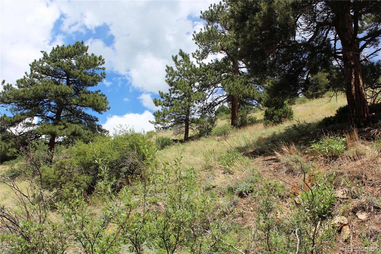 200 Two Brothers Road Idaho Springs CO 80452