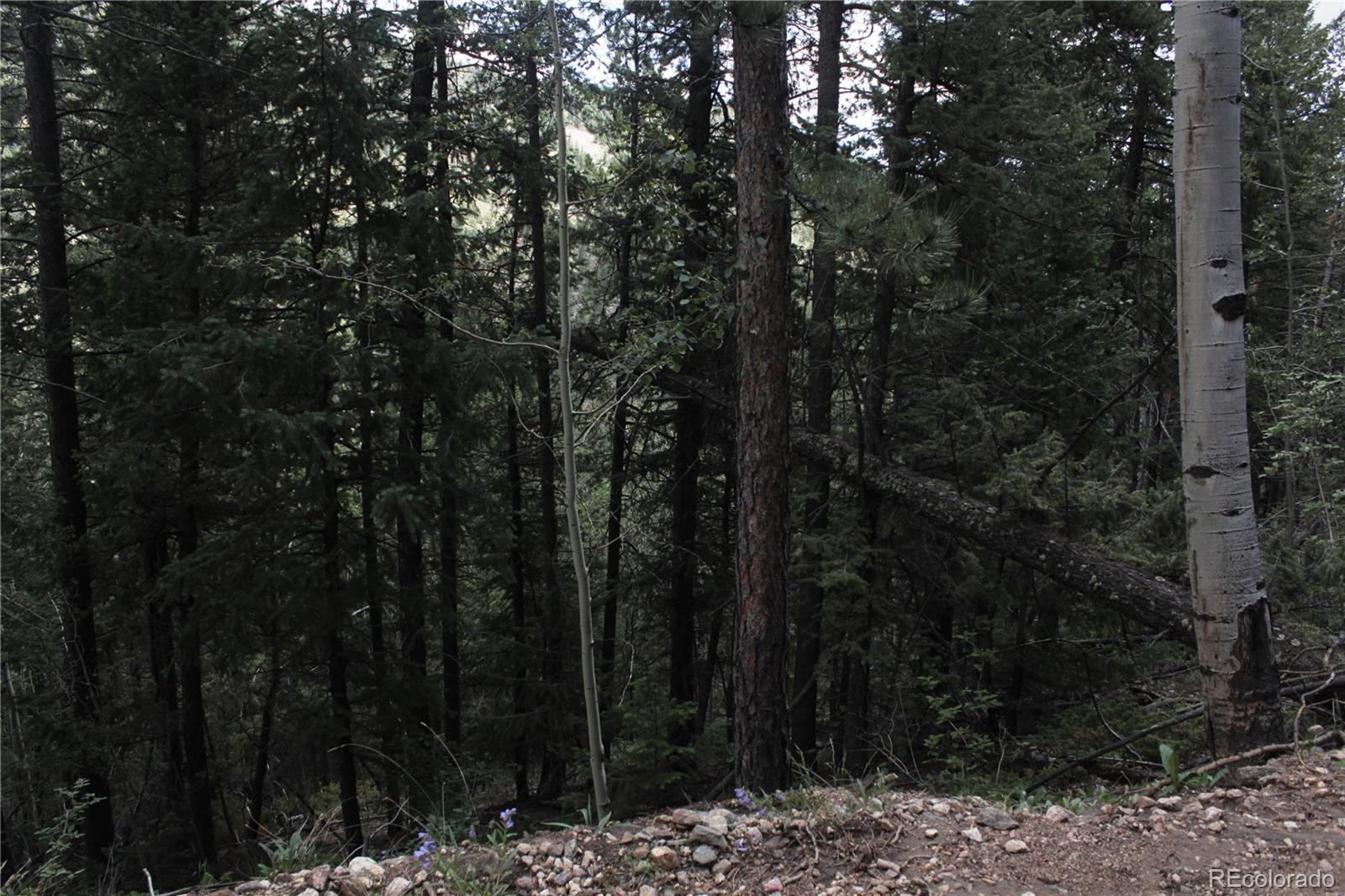 200 Two Brothers Road Idaho Springs CO 80452