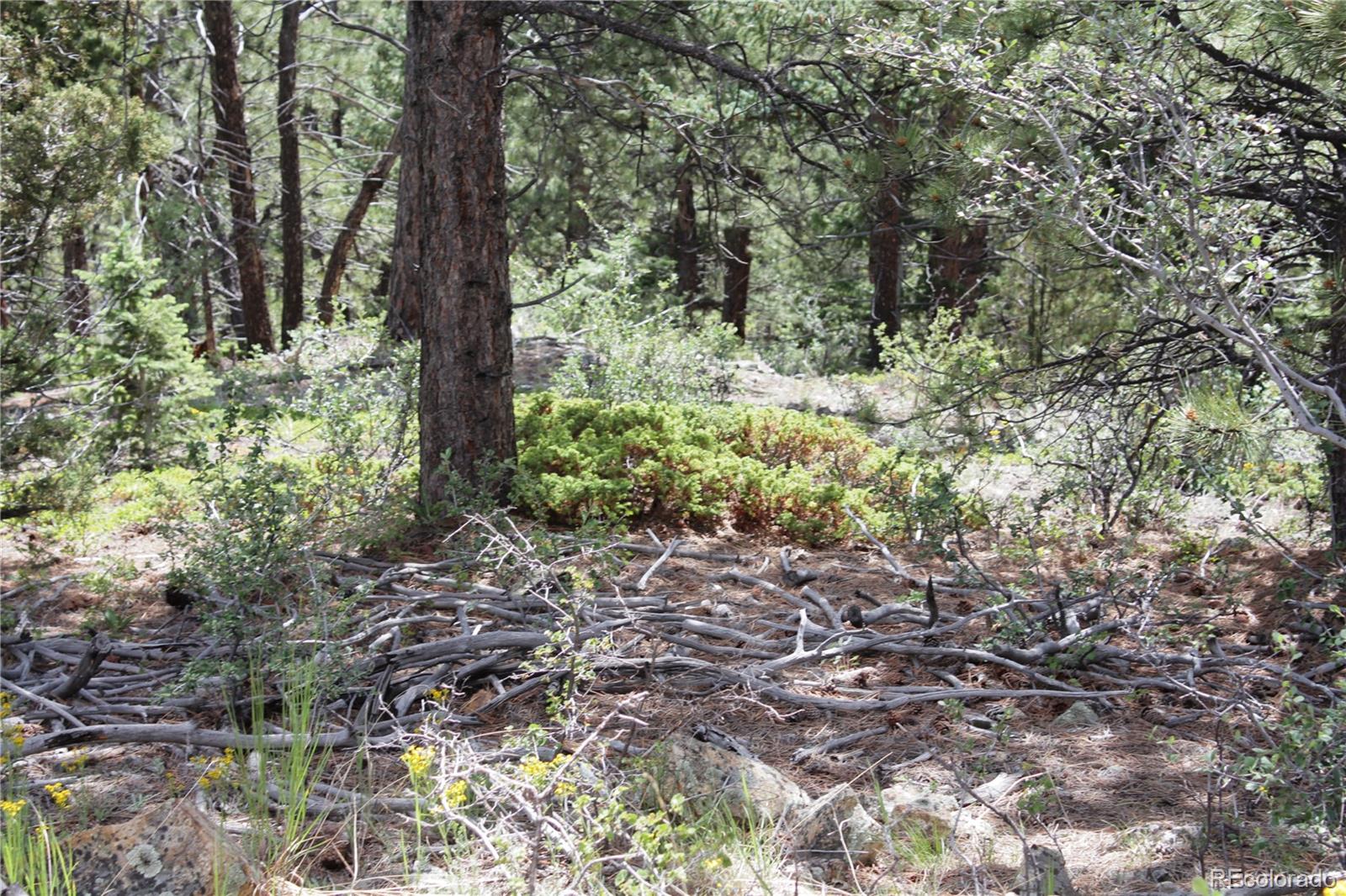 200 Two Brothers Road Idaho Springs CO 80452