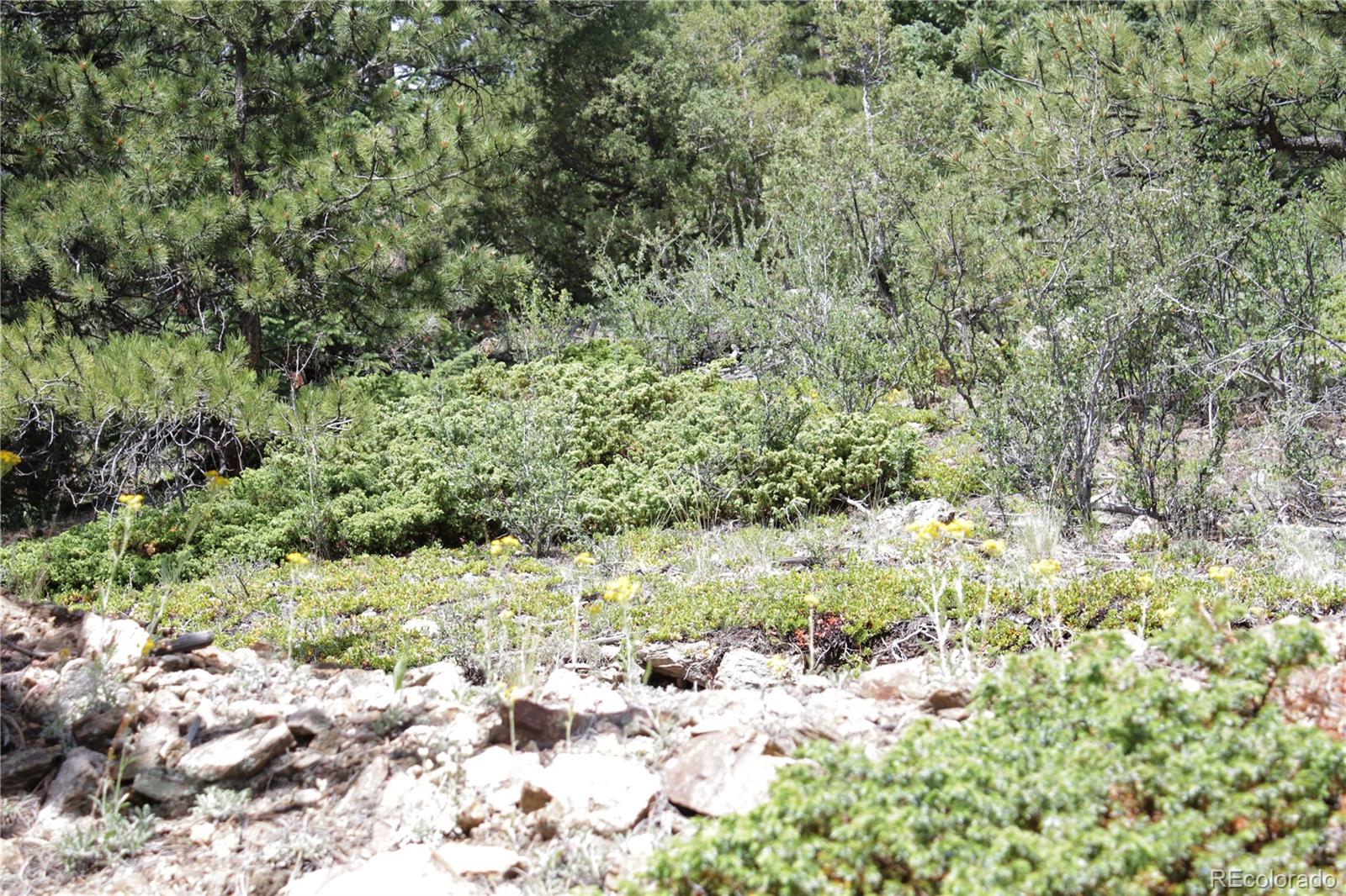 200 Two Brothers Road Idaho Springs CO 80452