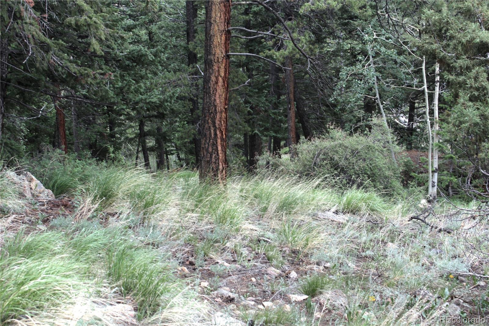 200 Two Brothers Road Idaho Springs CO 80452