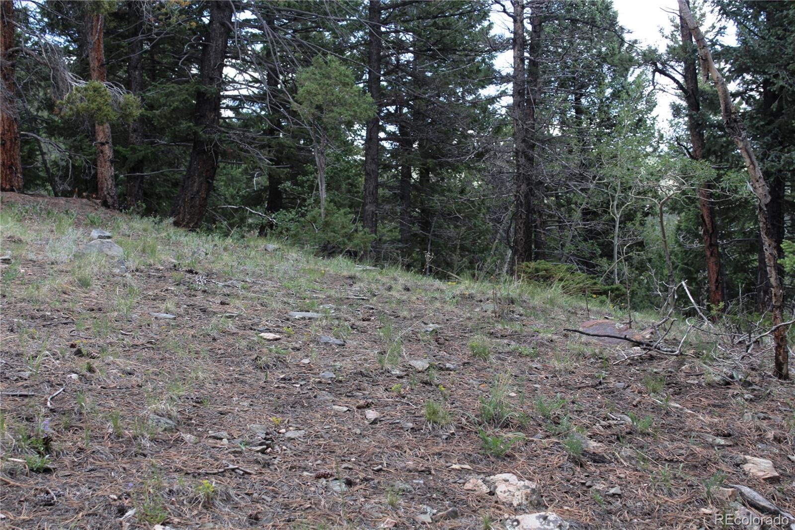 200 Two Brothers Road Idaho Springs CO 80452