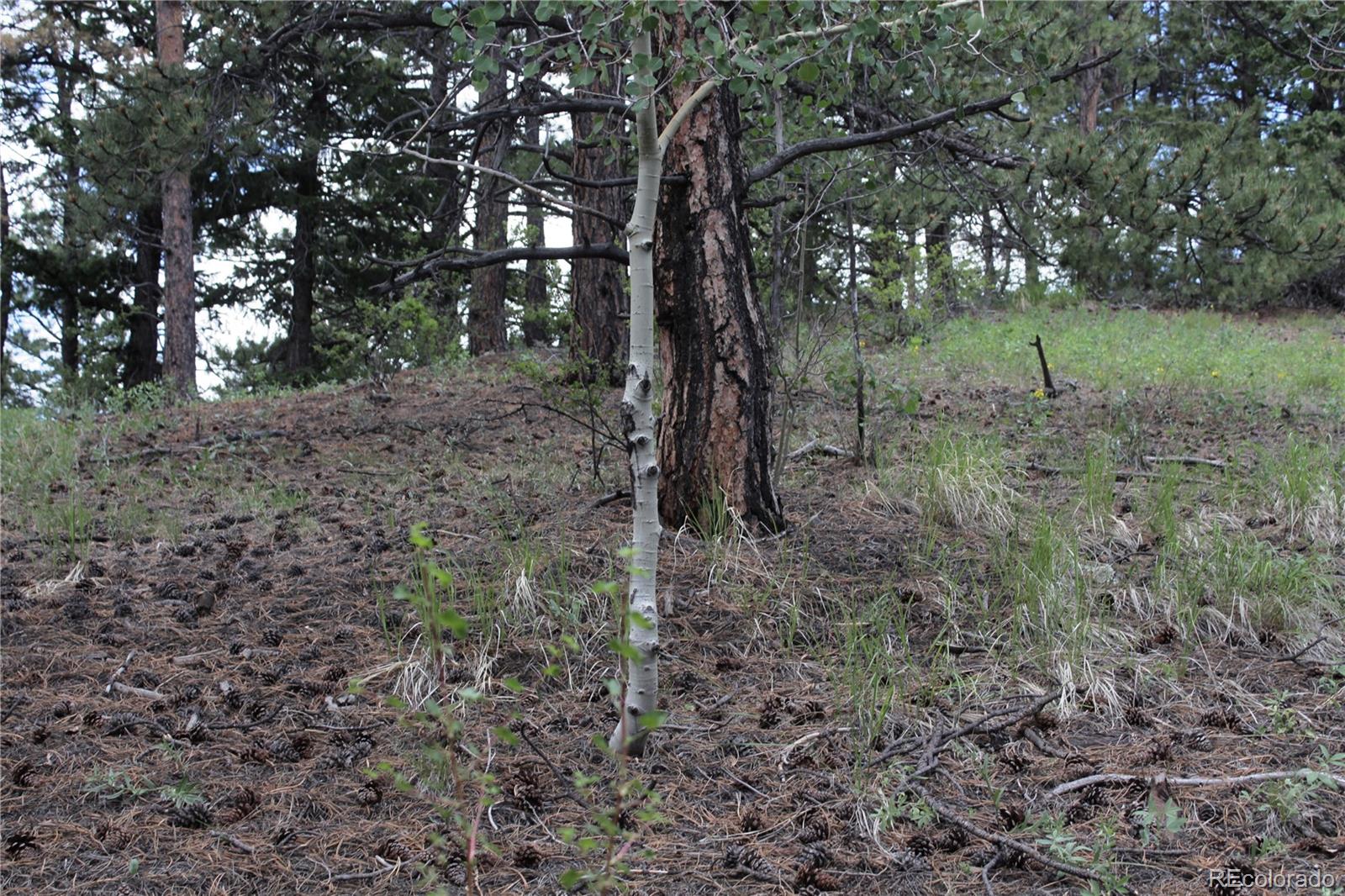 200 Two Brothers Road Idaho Springs CO 80452