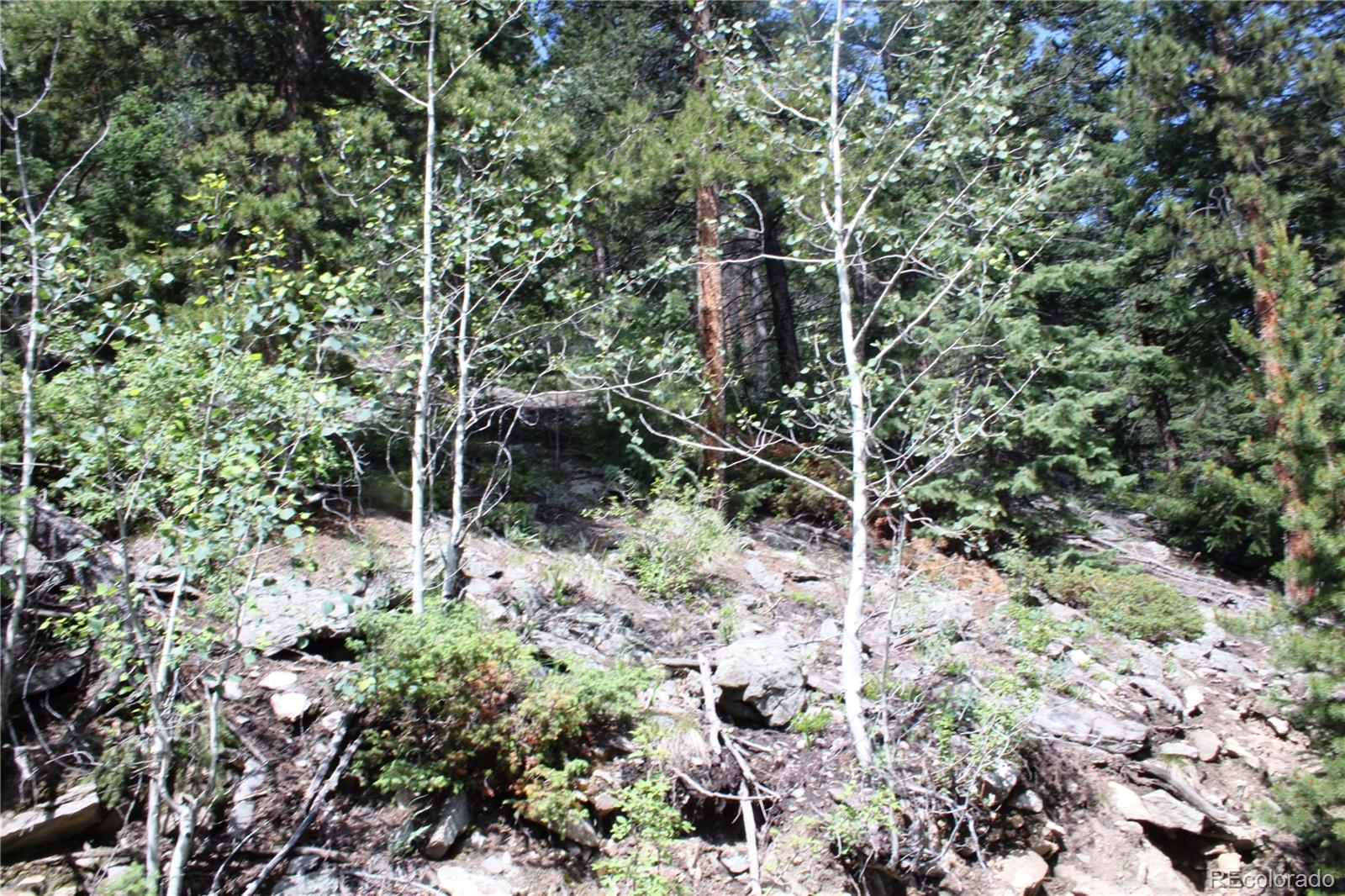 200 Two Brothers Road Idaho Springs CO 80452