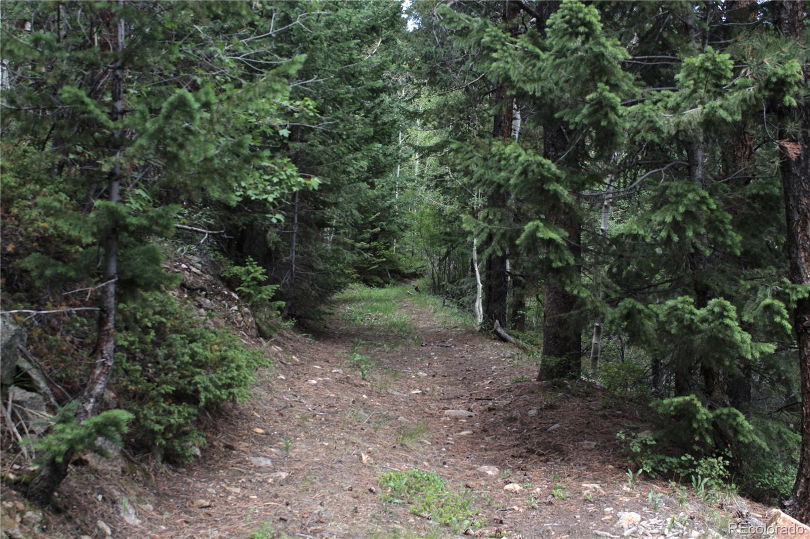 200 Two Brothers Road Idaho Springs CO 80452