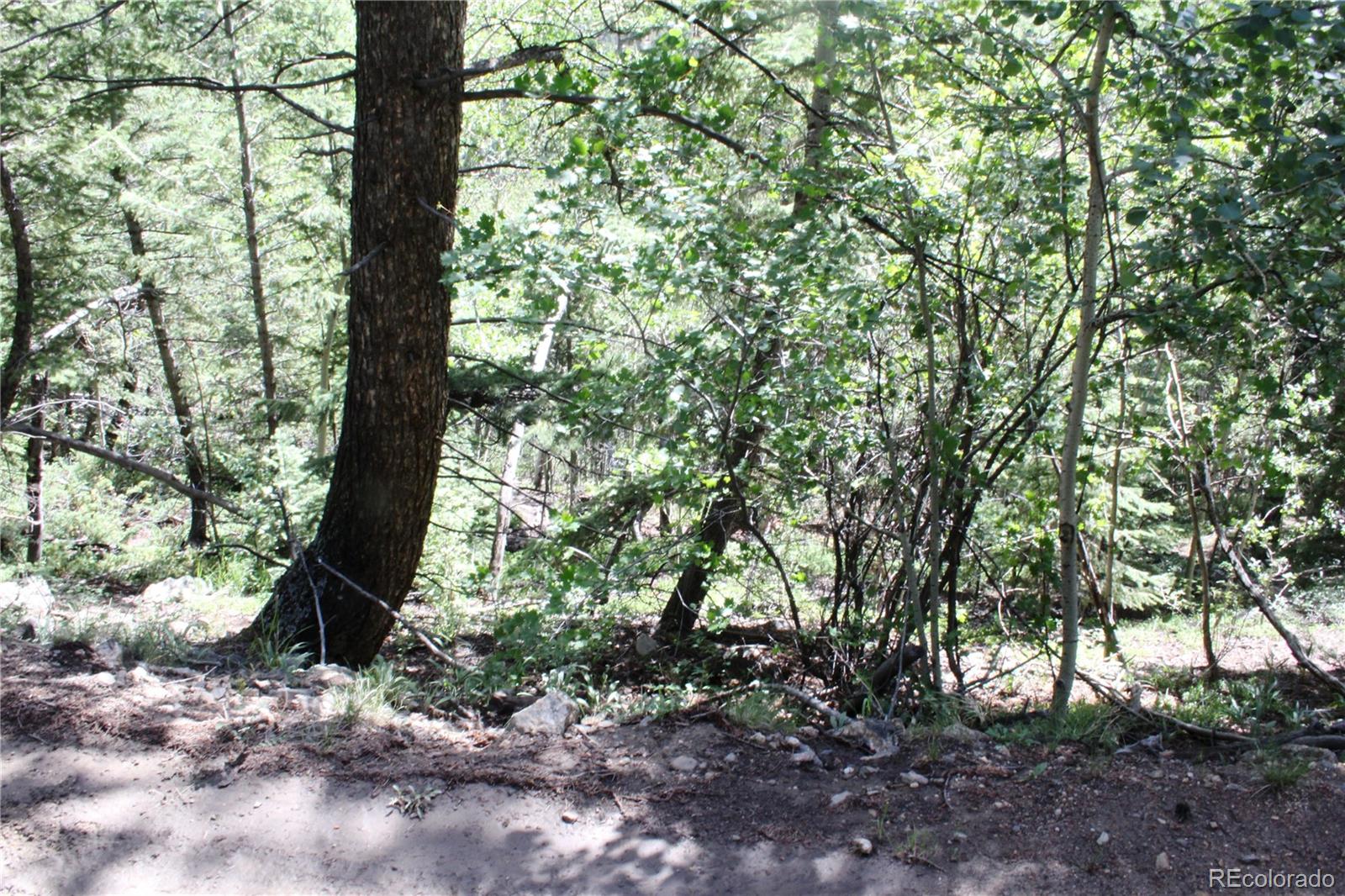 200 Two Brothers Road Idaho Springs CO 80452