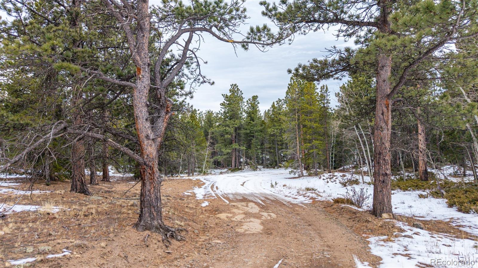 190 Hard Way Road Ward CO 80481