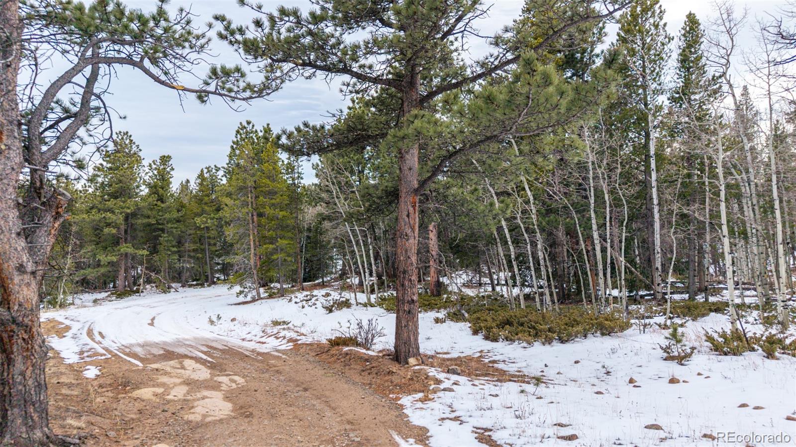 190 Hard Way Road Ward CO 80481
