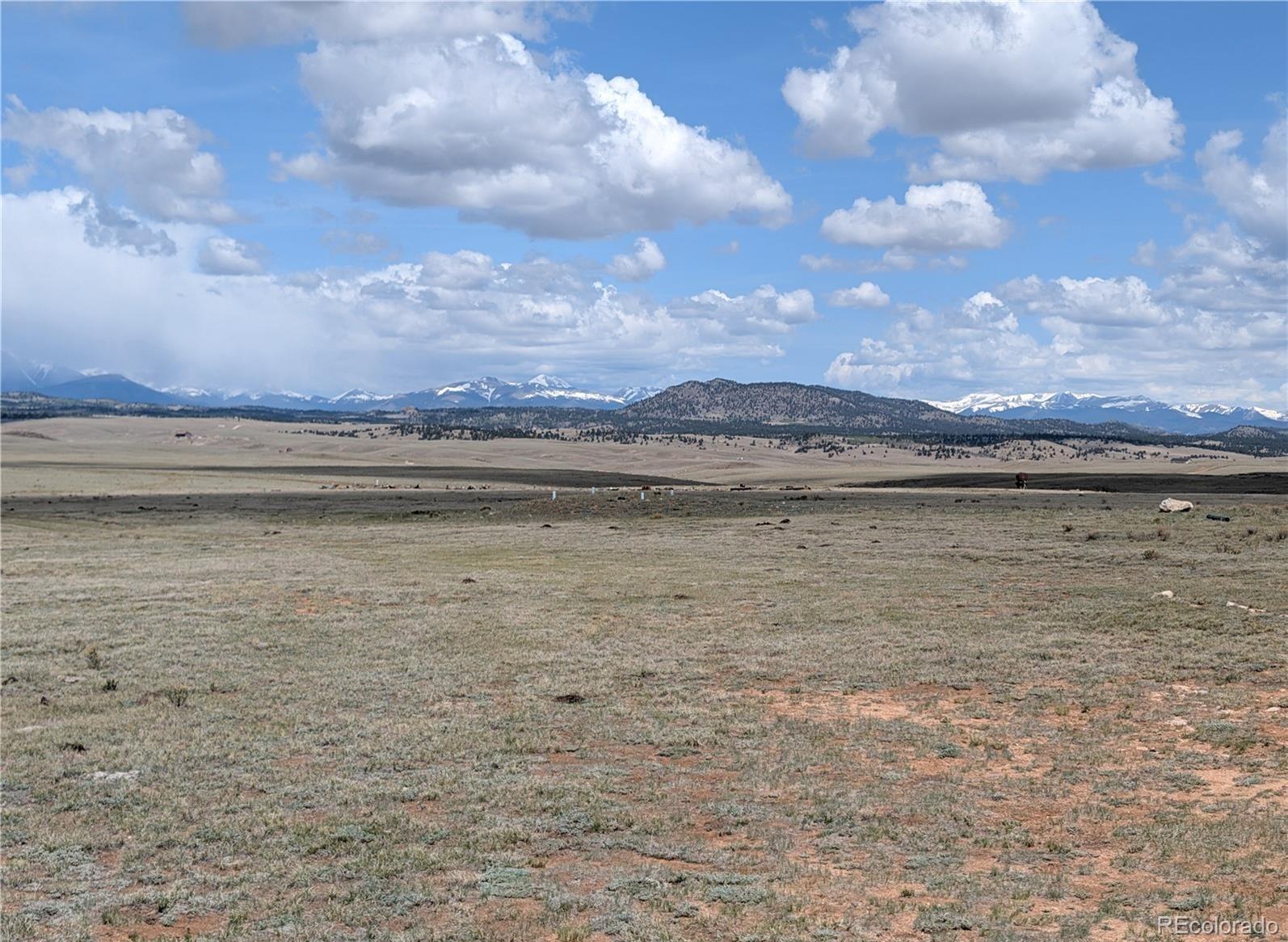 1920 Badger Basin Road Hartsel CO 80449