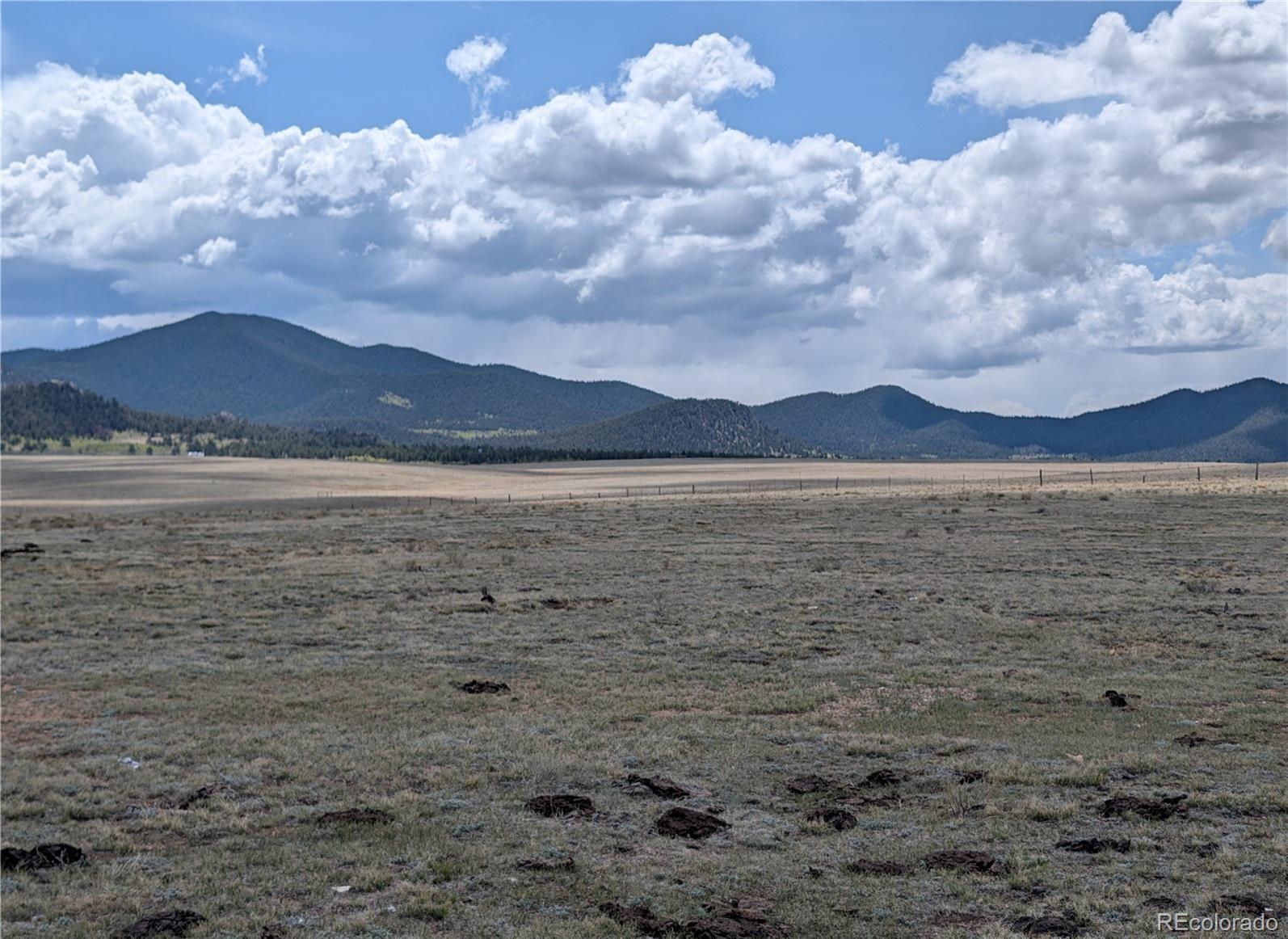 1920 Badger Basin Road Hartsel CO 80449