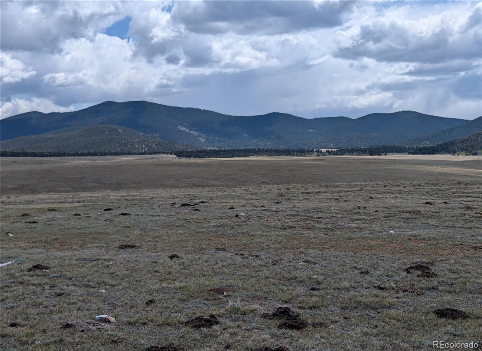 1920 Badger Basin Road Hartsel CO 80449