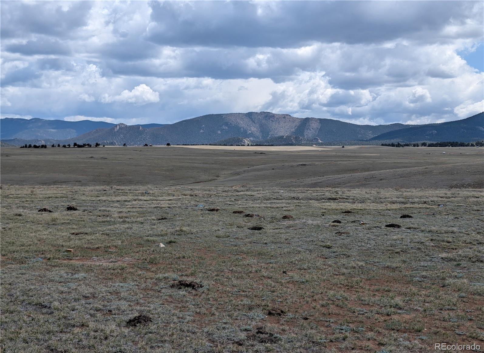 1920 Badger Basin Road Hartsel CO 80449