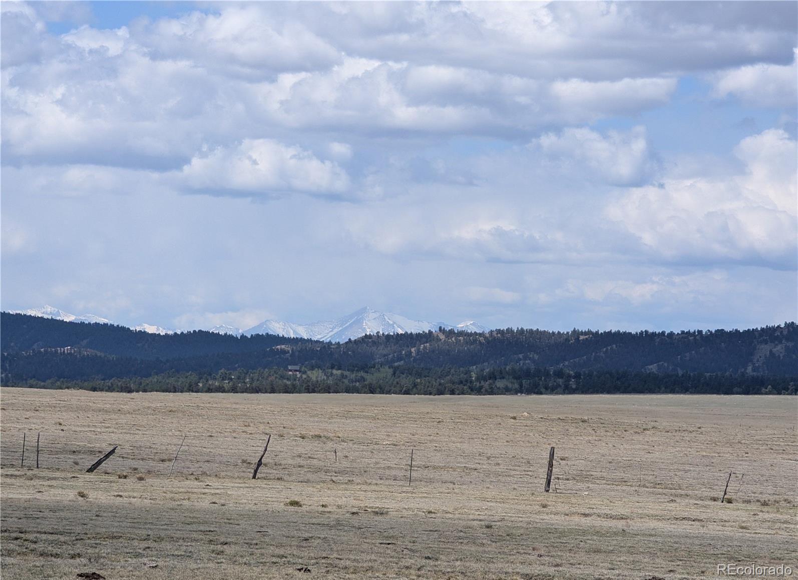 1920 Badger Basin Road Hartsel CO 80449