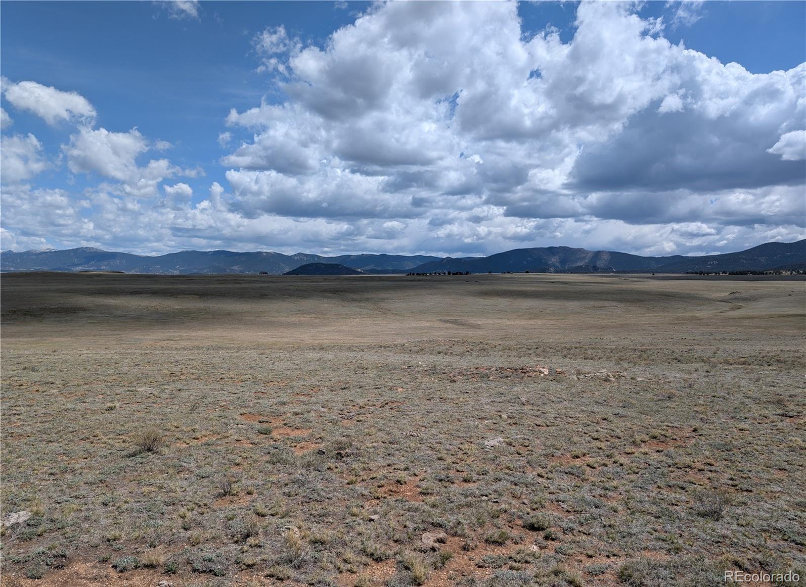1920 Badger Basin Road Hartsel CO 80449