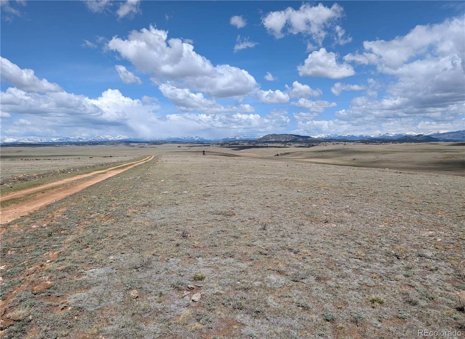 1920 Badger Basin Road Hartsel CO 80449
