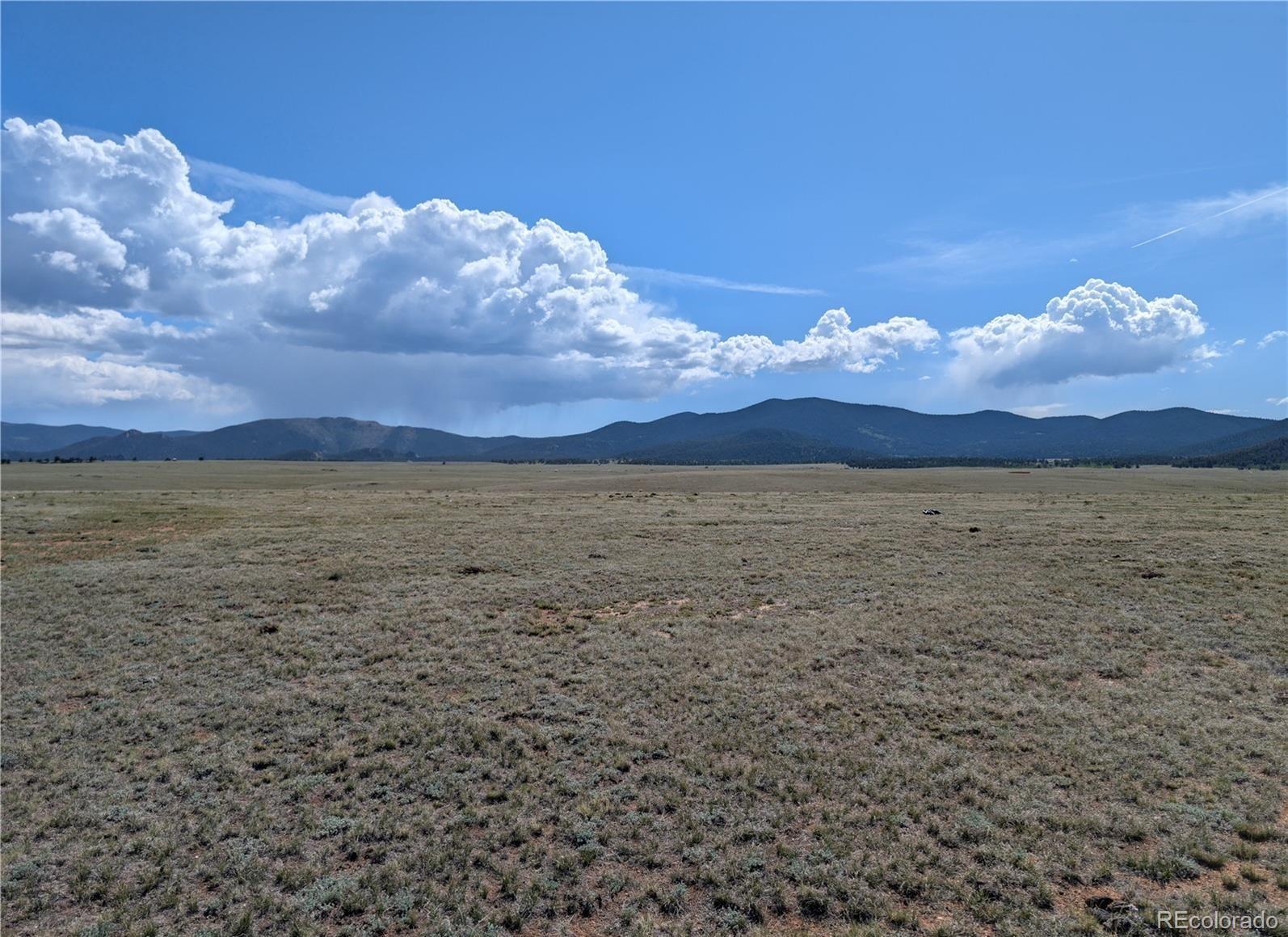 1920 Badger Basin Road Hartsel CO 80449