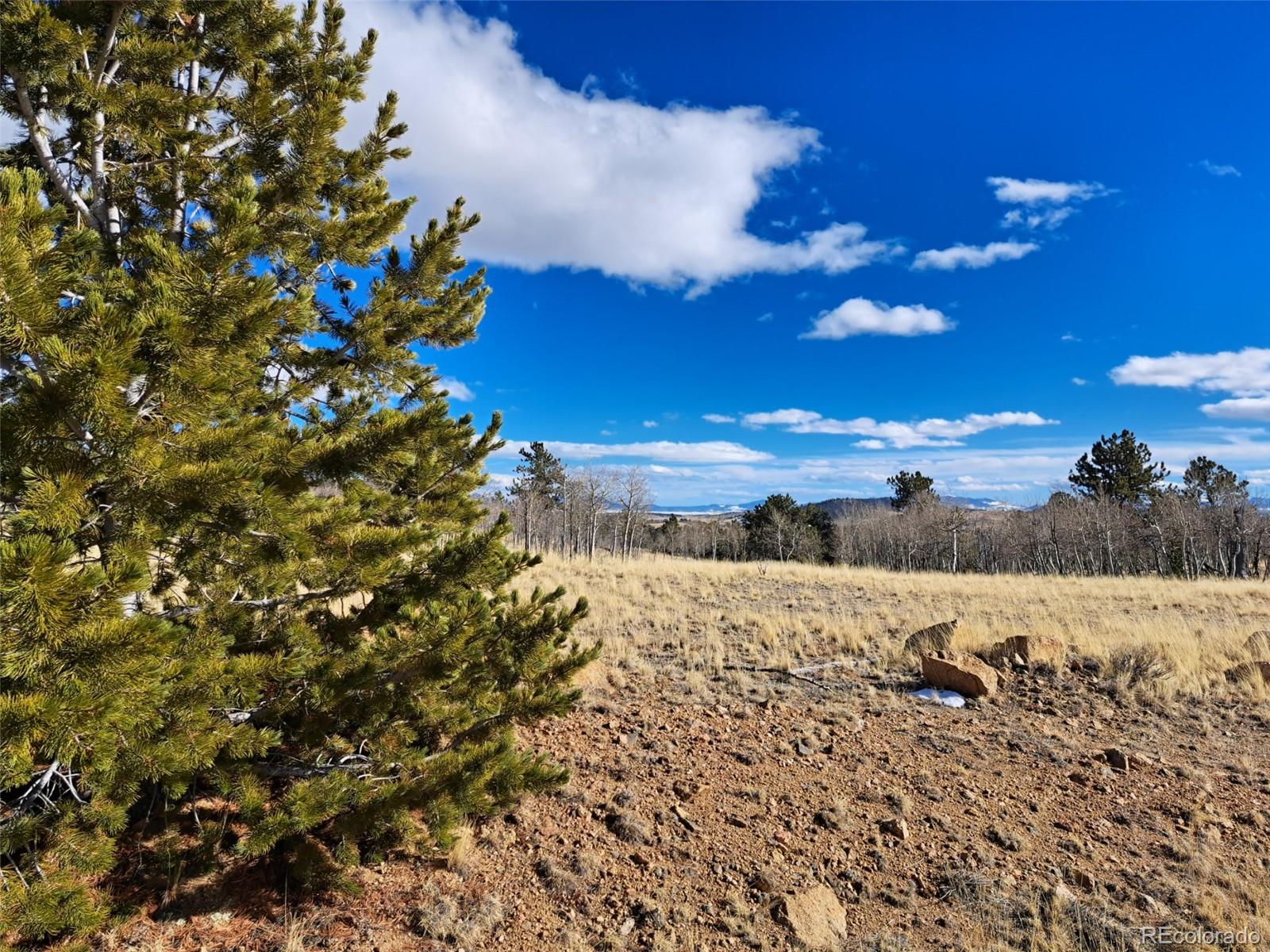 560 Raven Way Como CO 80432