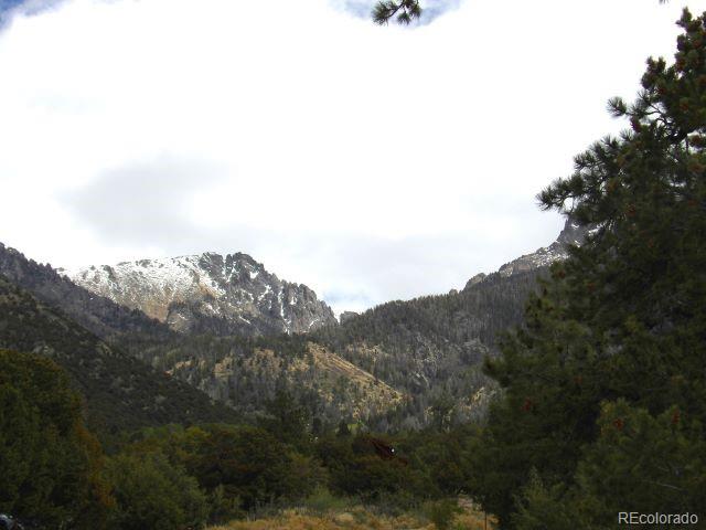 915 Big Timber Overlook Crestone CO 81131