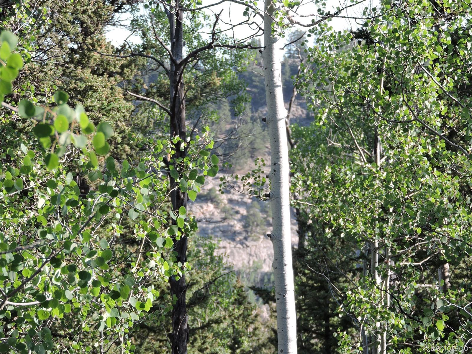 170 Buckskin Court Como CO 80432