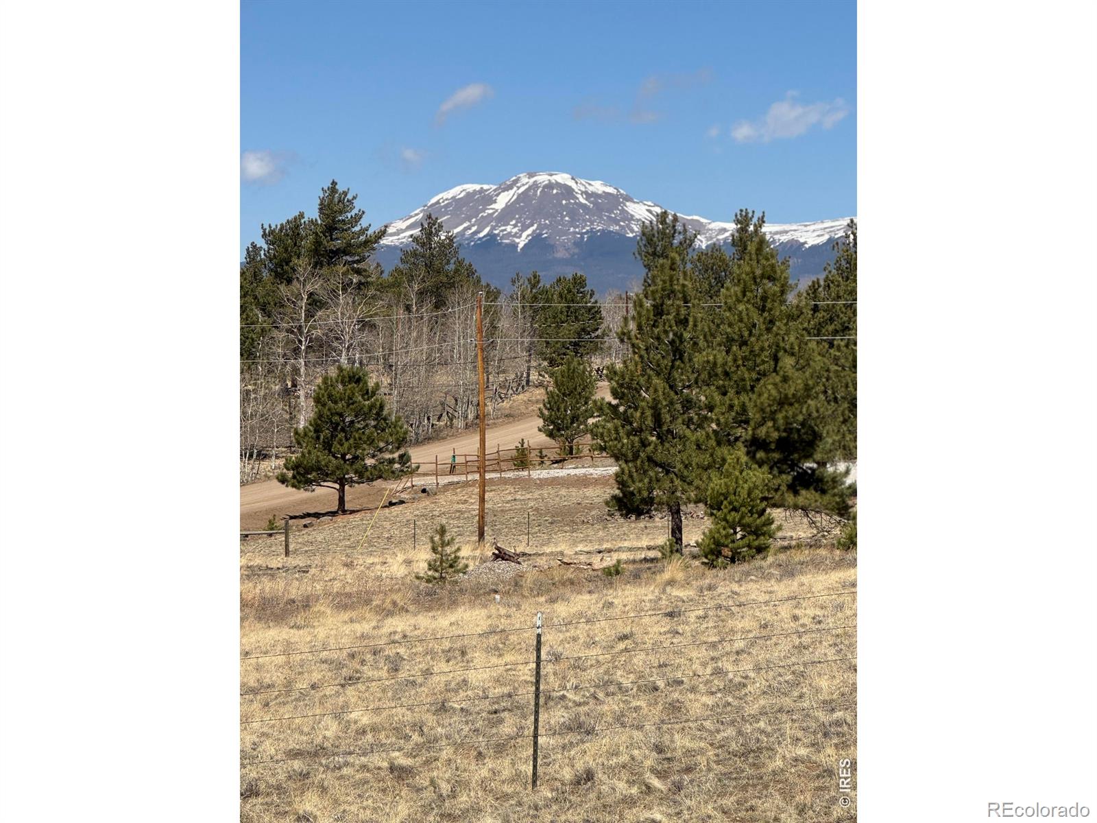 2841 Singletree Road Hartsel CO 80449