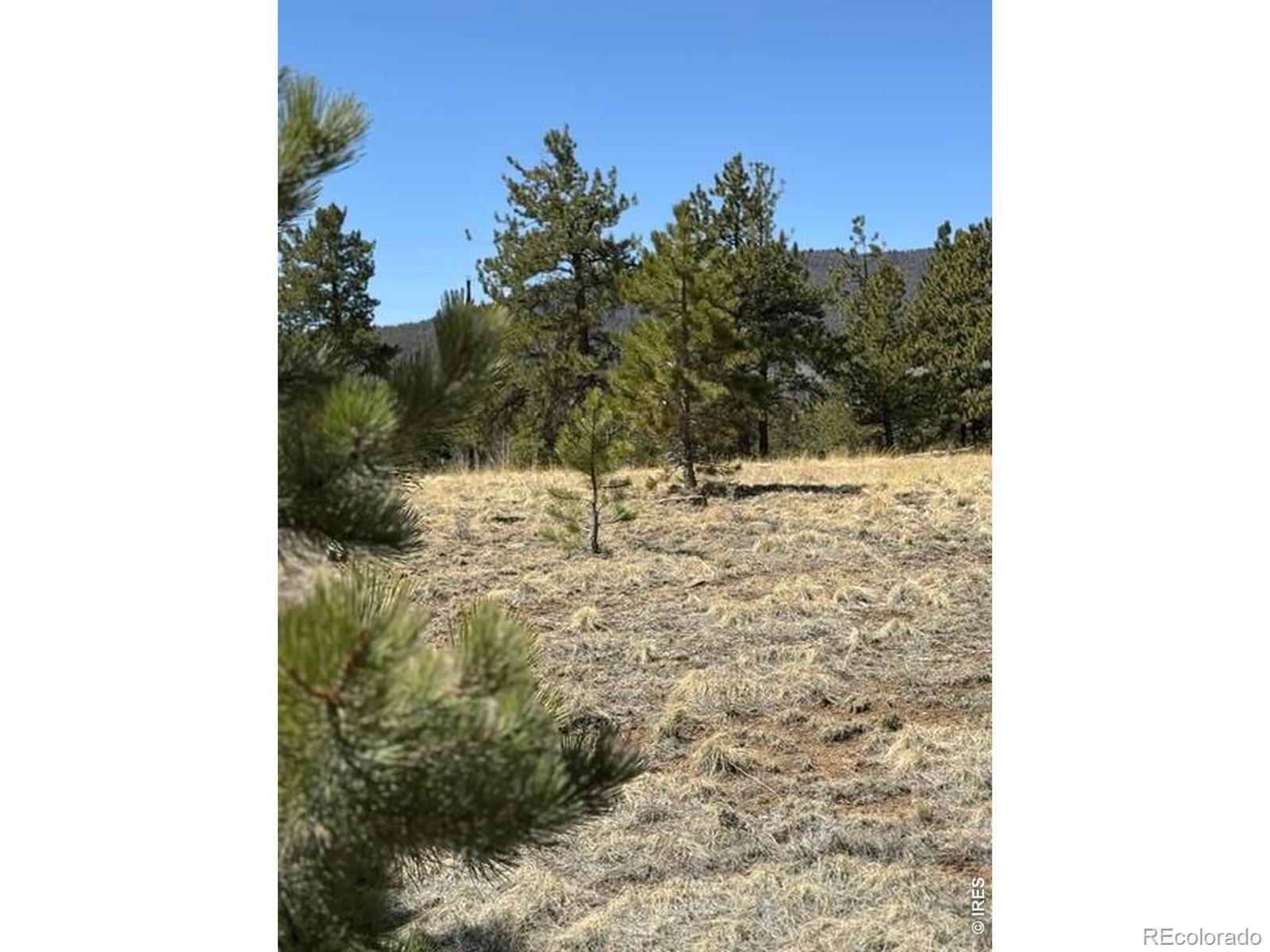 2841 Singletree Road Hartsel CO 80449