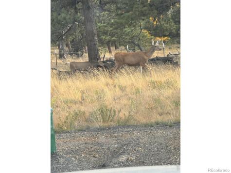 2841 Singletree Road Hartsel CO 80449