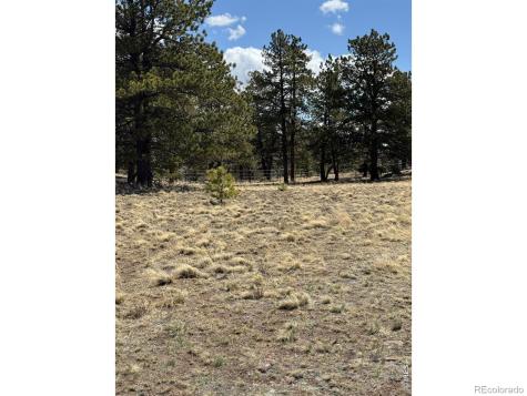 2841 Singletree Road Hartsel CO 80449