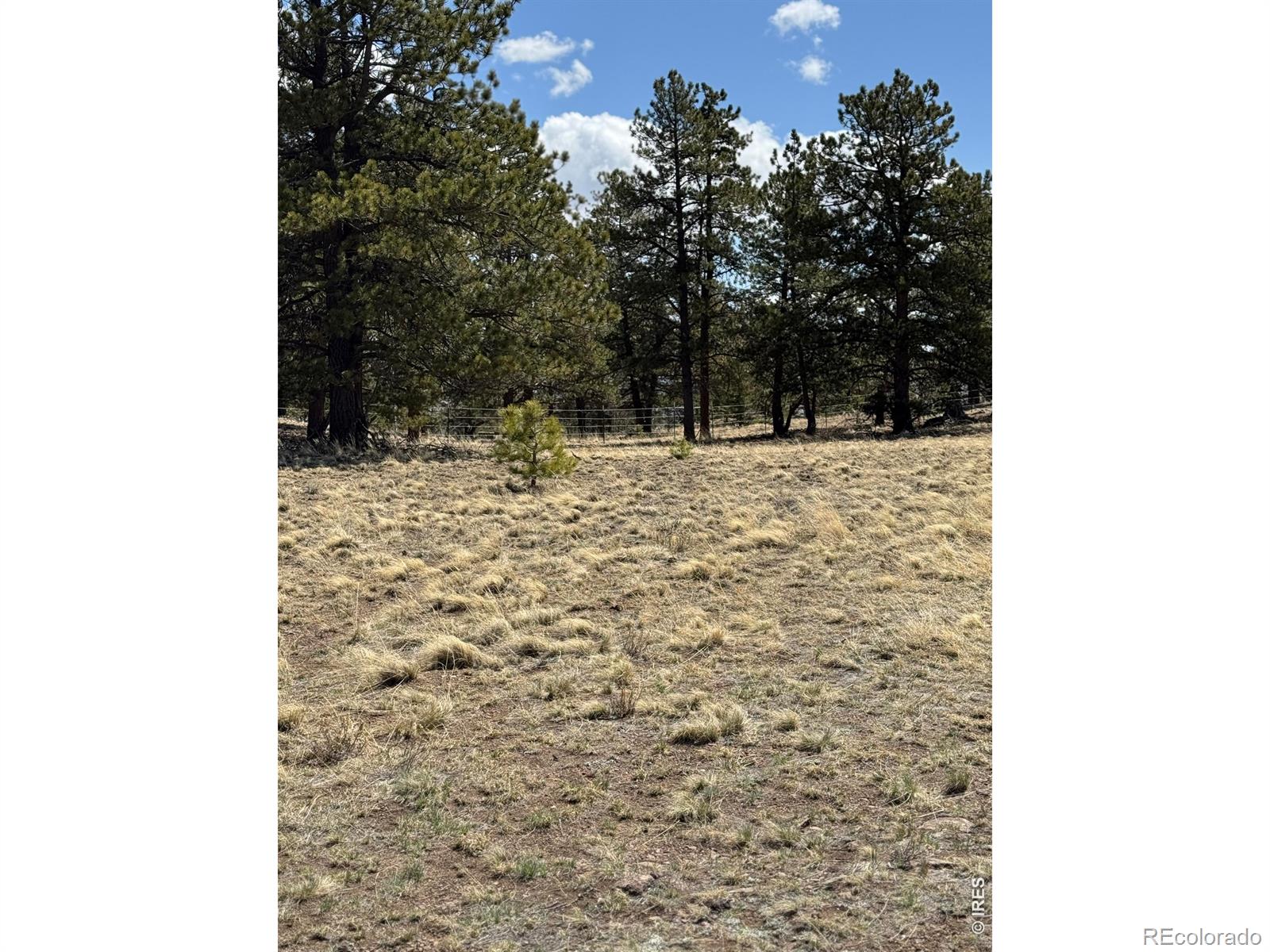2841 Singletree Road Hartsel CO 80449