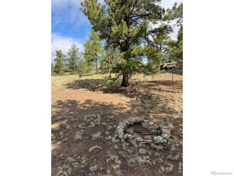 2841 Singletree Road Hartsel CO 80449