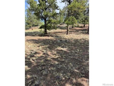 2841 Singletree Road Hartsel CO 80449