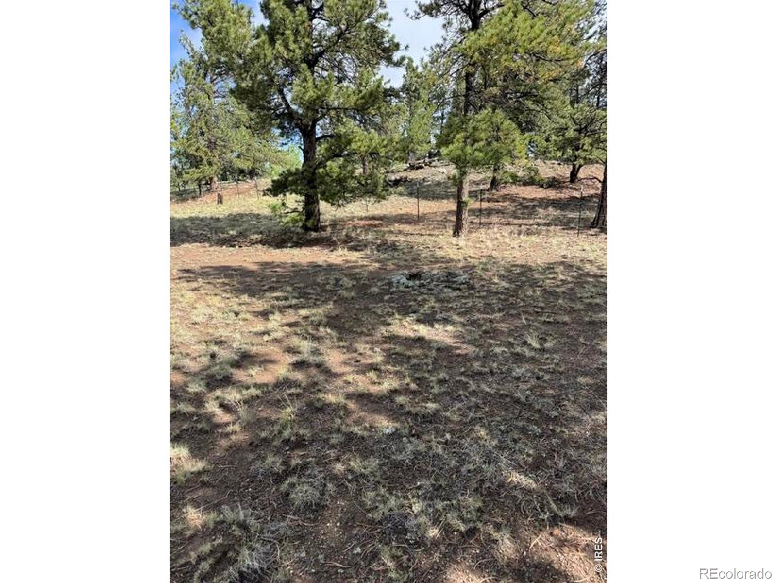 2841 Singletree Road Hartsel CO 80449