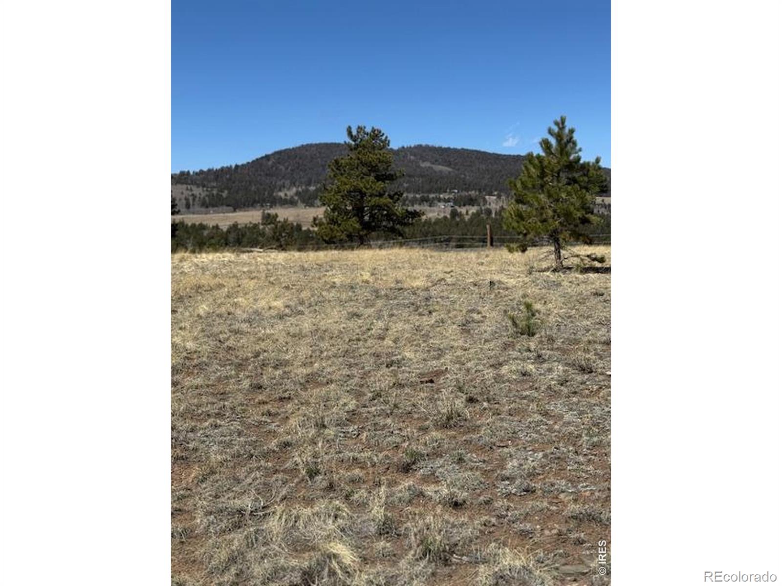 2841 Singletree Road Hartsel CO 80449