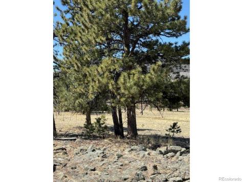 2841 Singletree Road Hartsel CO 80449