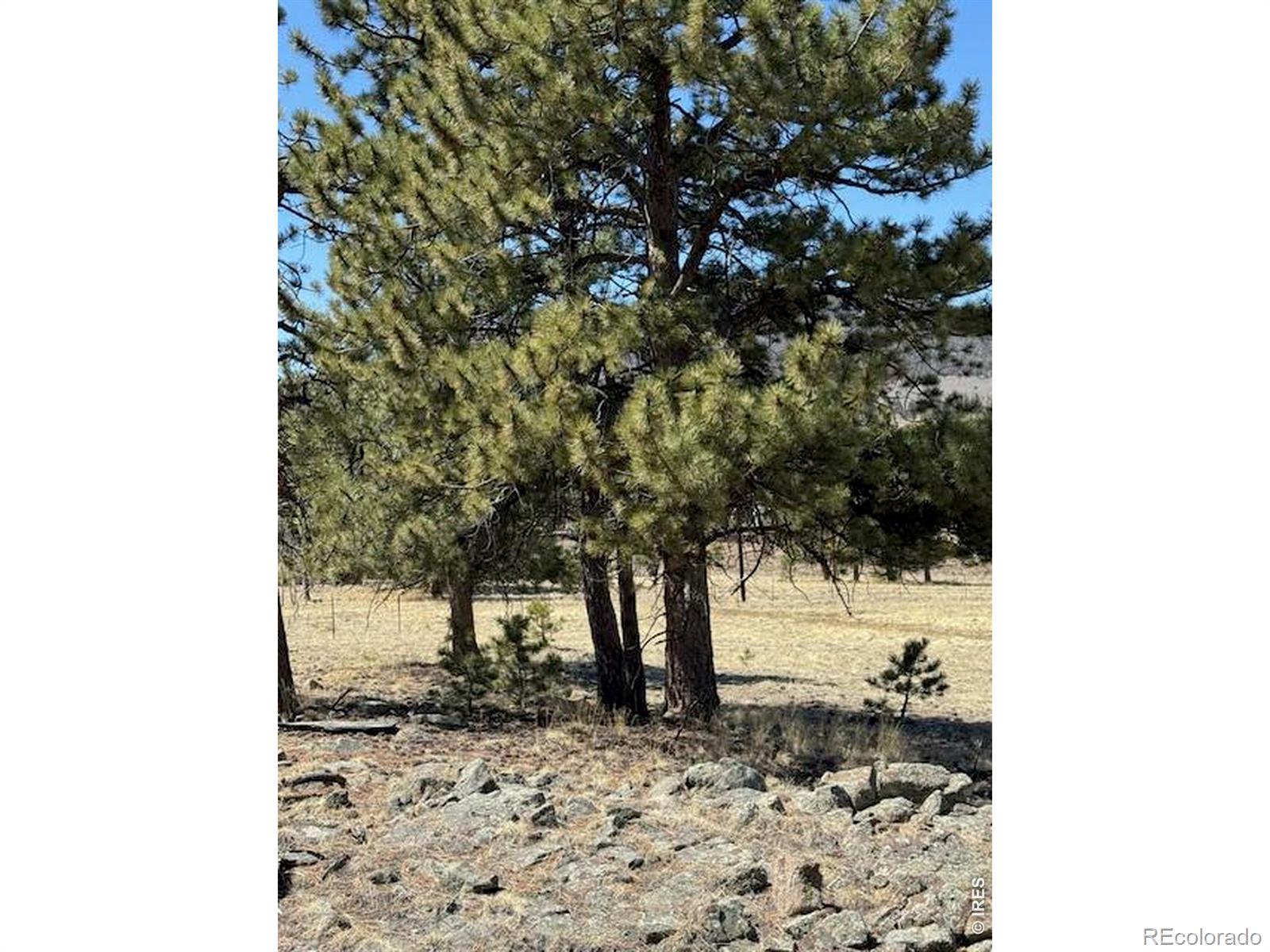 2841 Singletree Road Hartsel CO 80449