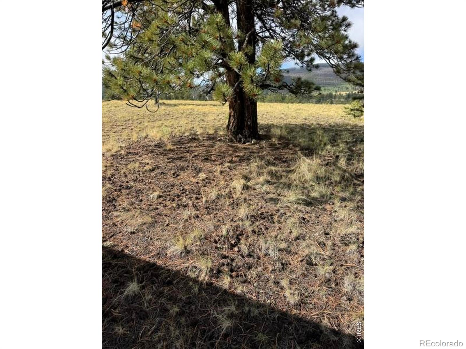 2841 Singletree Road Hartsel CO 80449